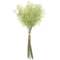 tételeket Díszes spárgaág, virágcsokrokhoz való természetes kiegészítő, 34 cm, 7 darab