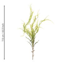 tételeket Zöld sörtéjű köles műnövény elegáns függődekorációhoz, stílusos szobai kiegészítőkhöz, 114 cm