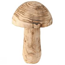 tételeket Nagy fa gombás dekoratív gombafa Paulownia Ø21cm H33cm