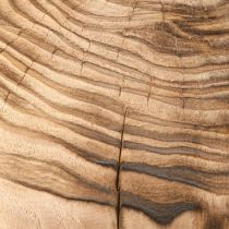 tételeket Nagy fa gombás dekoratív gombafa Paulownia Ø21cm H33cm