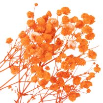 tételeket Baba lehelet szárított virágcsokor Gypsophila 75cm 100g