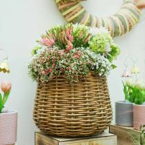 tételeket Gypsophila műgipsophila csokorban fehér H28cm 6db