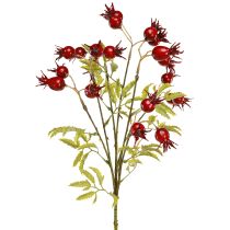 tételeket Műcsokrudacskák díszes ágakkal, 7 db sötétpiros gyümölccsel, 48 cm