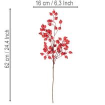 tételeket Mesterséges csipkebogyó ág fényes bogyókkal, 62cm