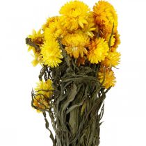 tételeket Szalmavirág sárga szárított virágok dekoratív csokor 75g