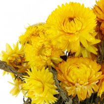 tételeket Szalmavirág sárga szárított virágok dekoratív csokor 75g