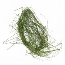 tételeket Mandzsetta fű zöld strucc mandzsetta rugós dekoráció Ø20cm