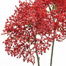 tételeket Bodza piros művirág őszi csokorba 52cm 6db