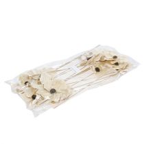 tételeket Favirág, mint dugó, fehérített Ø9-12cm L45cm 15 db