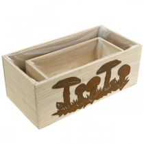 tételeket Ültetőszett, gombás fadobozok, őszi dekorációs patinás L40/30cm 2 db-os készlet