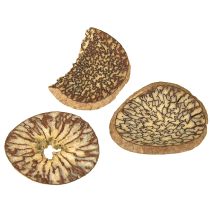 tételeket Fa szeletek, dekoratív fán termő gyümölcsök, natúr, DIY, FSC, 1-3,5 cm, 300g