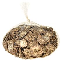 tételeket Fa szeletek, dekoratív fán termő gyümölcsök, natúr, DIY, FSC, 1-3,5 cm, 300g