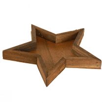 tételeket Fatálca csillagdísz barna színben, Ø38/29/22cm 3 db-os készlet