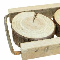 Dekoratív tálca fából faszeletekkel 34cm x 12cm H3cm