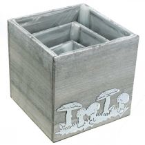 tételeket Fa gombás kocka, őszi díszek, növényes doboz 20/16/12 cm, 3 db-os készlet