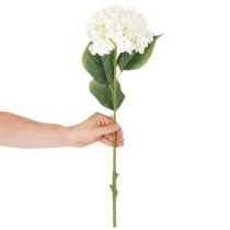 tételeket Műhortenzia Hosszú Szárú Művirág 60cm