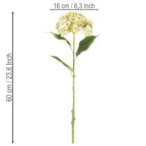 tételeket Műhortenzia virág hosszú szárral és levelekkel, 60cm