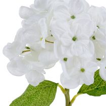 Hortenzia 35 cm fehér