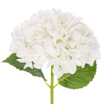 tételeket Műhortenzia virág hosszú szárral díszítésre, 48cm