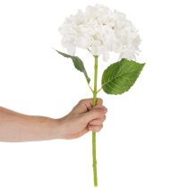 tételeket Műhortenzia virág hosszú szárral díszítésre, 48cm