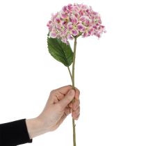 tételeket Stílusos műhortenzia virág, mint tartós látvány, 80 cm, 2 darab