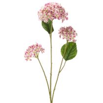 tételeket Stílusos műhortenzia virág, mint tartós látvány, 80 cm, 2 darab