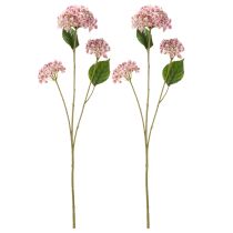tételeket Stílusos műhortenzia virág, mint tartós látvány, 80 cm, 2 darab