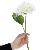 tételeket Műhortenzia virág elegáns, modern belsőépítészetbe, 80 cm, 2 darab
