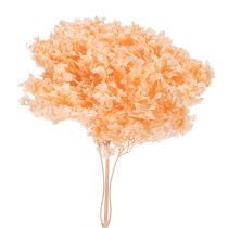 tételeket Hortenzia szárazvirág csokor elegáns otthoni virágdíszítéshez, 65 cm