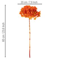 tételeket Hortenzia, tartósított és festett, nagy virág hosszú szárral, 60 cm