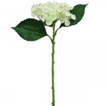 Hortenzia, selyemvirág, asztaldísz művirág fehér, zöld L44cm
