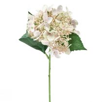 tételeket Hortenzia műkrémes kerti virág bimbóval 52cm