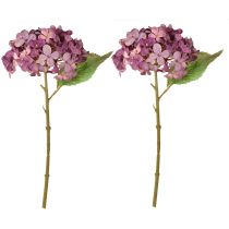 tételeket Műhortenzia lila művirágok hortenzia 34cm 2db