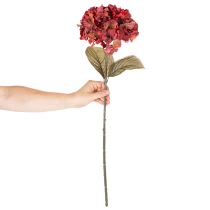 tételeket Műhortenzia virágzó ág, nagy virág, 74cm