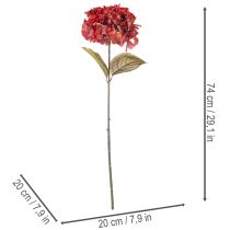 tételeket Műhortenzia virágzó ág, nagy virág, 74cm