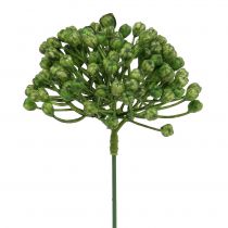 tételeket Hortenzia bimbócsákány 22cm zöld 12db