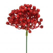 tételeket Hortenzia bimbó csákány 22cm piros 12db