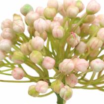 tételeket Hortenzia bimbócsákány 21cm rózsaszín 12db