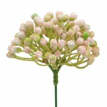 tételeket Hortenzia bimbócsákány 21cm rózsaszín 12db