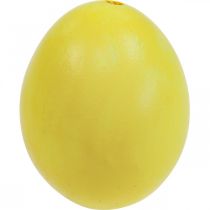 tételeket Húsvéti tojás Sárga Fújt Tojás Csirke tojás 5,5cm 10db