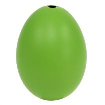 tételeket Csirke tojás 5,5cm - 7cm zöld 10 db