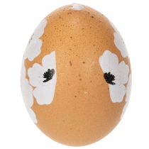 tételeket Húsvéti tojásakasztó dekoráció, tavaszi, húsvéti, igazi tyúktojás, natúr, 6 cm, 6 darab