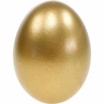 Csirke tojás fújt tojás Húsvéti dekoráció különböző színekben 10db