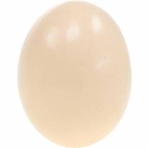 tételeket Csirke tojáskrém Húsvéti dekoráció Fújt tojás 10db