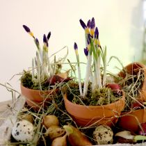 tételeket Agyag virágcserép Ø9cm magas 8cm 10db