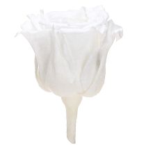 tételeket Infinity Roses Igazi Rózsafejek Mini Rózsa Fehér Ø3cm 16 db