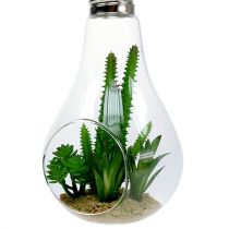 Kaktuszok egy pohárban akasztani 21cm