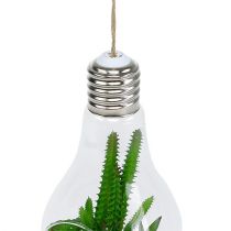 tételeket Kaktuszok egy pohárban akasztani 21cm