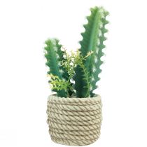 tételeket Kaktusz cserépben mesterséges kaktusz válogatott 28cm 2db