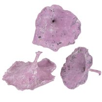 tételeket Kalix Gomba Lila, Fehérre Melegített 100 db